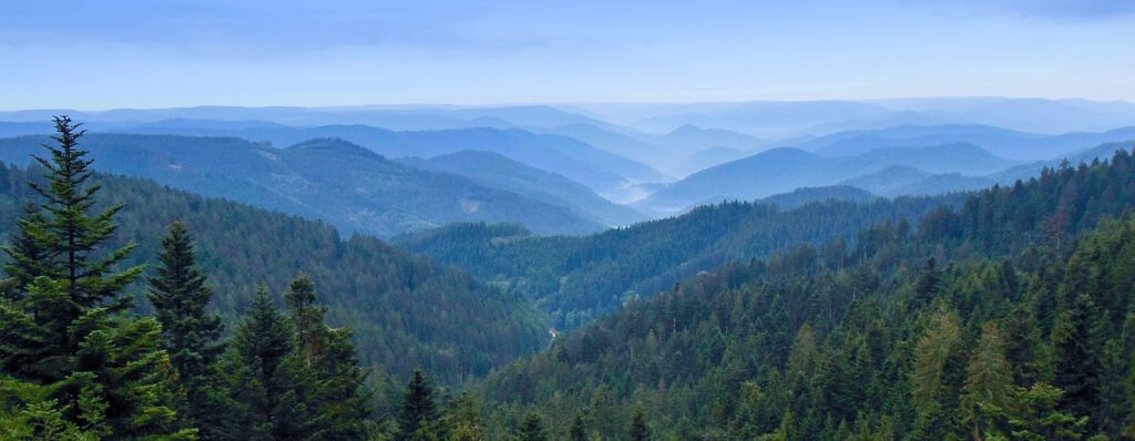 Schwarzwald Trail Berglauf